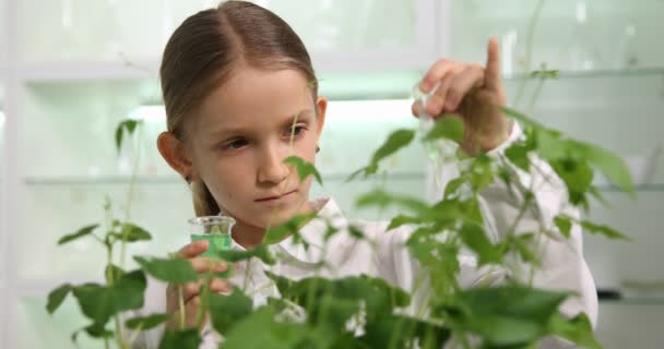 Παιδί Στο Εργαστήριο Χημείας Σχολή Επιστημών Καλλιέργεια Φυτών Πείραμα Βιολογία — Αρχείο Βίντεο