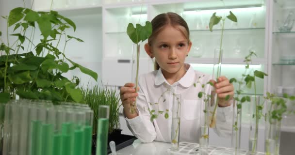 Niño Laboratorio Química Experimento Ciencia Escolar Proyecto Biología Educativa — Vídeo de stock