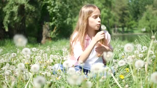 Criança Brincando Parque Menina Soprando Flores Dente Leão Prado Natureza — Vídeo de Stock