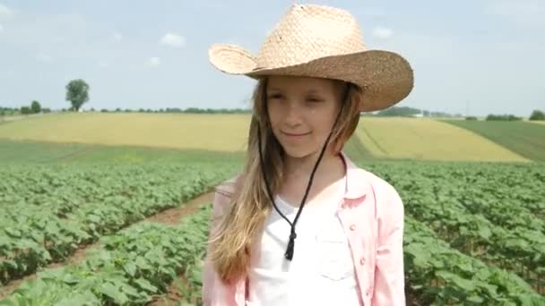 Фермерский Ребенок Подсолнечном Поле Девочка Ребенок Учится Ходить Аграрной Жатве — стоковое видео