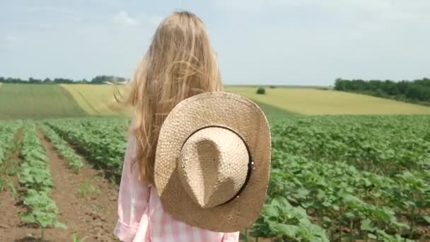 ひまわり畑 女の子 子供を勉強して 農業収穫でウォーキングで百姓の子 — ストック動画