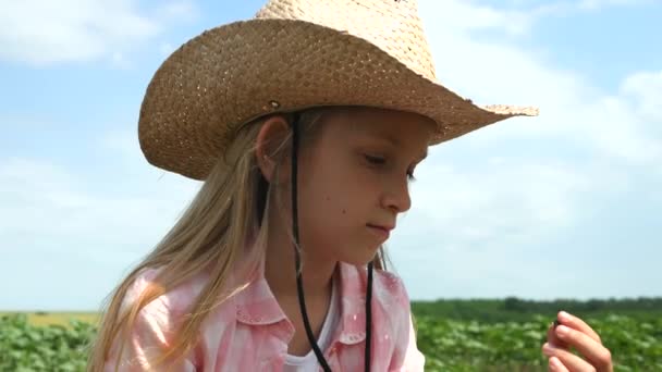 Farmer Child Sunflower Field Girl Kid Studying Playing Agrarian Harvest — Stock Video