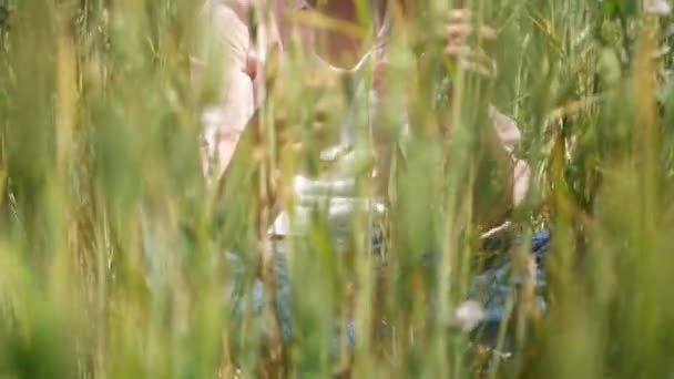 孩子在麦田 女孩玩罂粟花户外夏季自然 — 图库视频影像