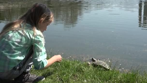 Criança Brincando Lago Parque Criança Olhando Para Tartaruga Livre Menina — Vídeo de Stock