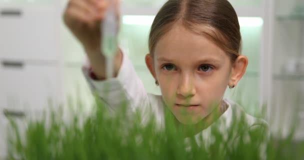 Niño Laboratorio Química Experimento Ciencia Escolar Plantación Plántulas Trigo — Vídeo de stock