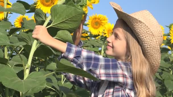 Rolnik Dziecko Słonecznikowe Pole Dziewczyna Studiuje Grając Agrarnej Żniwa — Wideo stockowe