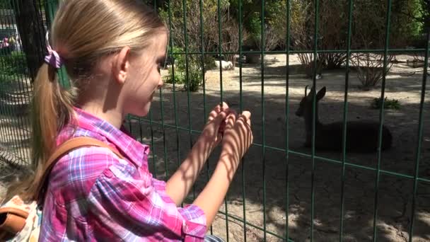 Barn Zoo Park Flicka Titta Rådjur Barn Älskar Omvårdnad Djur — Stockvideo