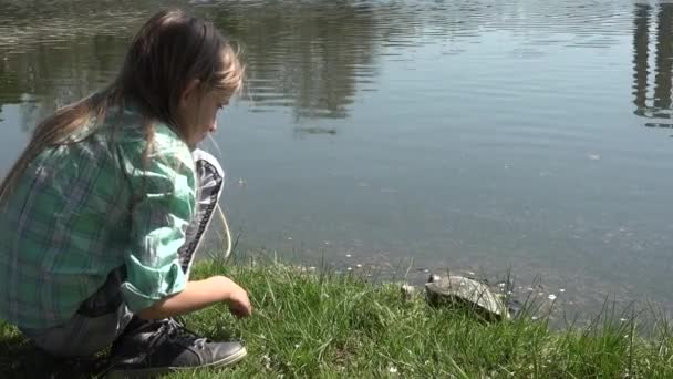 Enfant Jouant Bord Lac Dans Parc Enfant Regardant Tortue Plein — Video