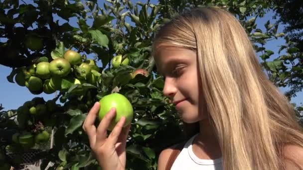 Farmář dítě v jabloňový sad, venkovská dívka ochutnávka ovoce stromu na vesnici — Stock video