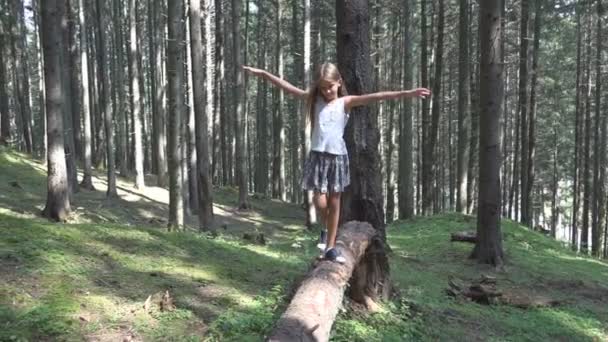 Bambino in foresta a piedi sul tronco, Ragazza campeggio, Bambino in montagna all'aperto in legno — Video Stock