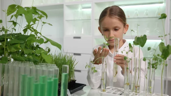 Niño Laboratorio Química Experimento Ciencia Escolar Proyecto Biología Educativa — Foto de Stock