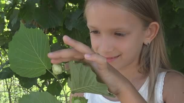 Kind Sucht Haselnuss Der Natur Schulmädchengesicht Kind Studiert Früchte — Stockvideo