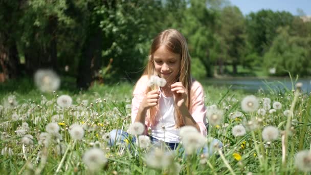 Niño Jugando Parque Niño Soplando Flores Diente León Prado Niña — Vídeos de Stock