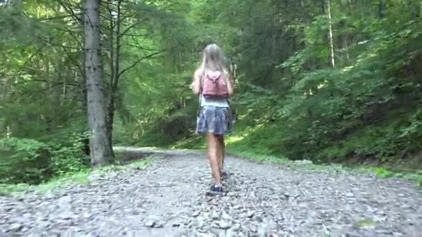 Niños Caminando Bosque Kid Naturaleza Aire Libre Chica Jugando Aventura — Vídeo de stock