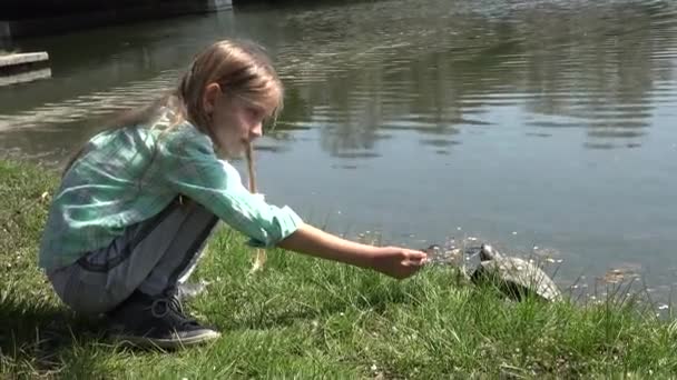 Barn Som Leker Vid Sjön Parken Kid Ser Sköldpadda Utomhus — Stockvideo