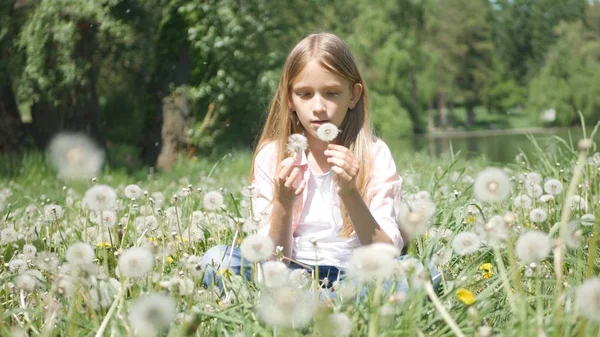 Criança Brincando Parque Kid Blowing Dandelion Flores Prado Menina Natureza — Fotografia de Stock