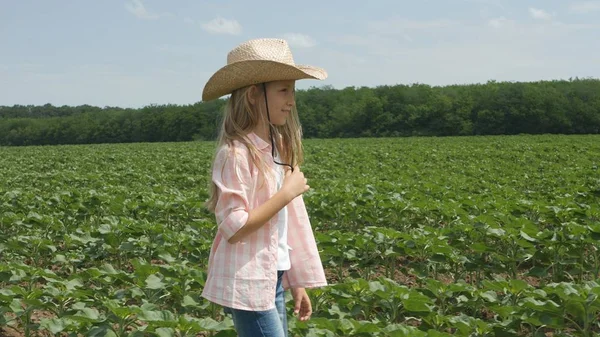 Farmer Child Sunflower Field Girl Kid Studying Walking Agrarian Harvest — Stock Photo, Image