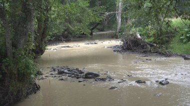 Dağ nehir yağmur gün, bahar Brook, Creek taşlar, kayalar, doğa görünümü