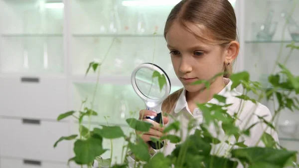 Criança Laboratório Química Escola Menina Estudando Plantas Projeto Educativo — Fotografia de Stock