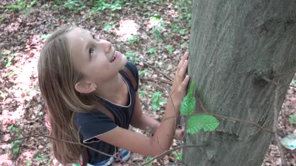 Dítě Lese Kid Hraje Přírodě Dívka Dobrodružství Venku Stromem — Stock video