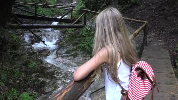 Niños Caminando Bosque Niños Senderismo Montañas Niña Jugando Aventura Acampar — Vídeo de stock