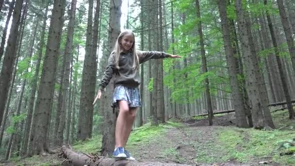 孩子在森林散步日志 孩子玩野营冒险 女孩户外木材 — 图库视频影像