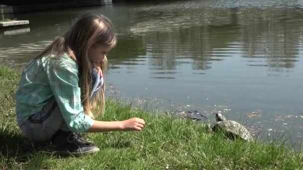 Child Playing Lake Park Kid Looking Turtle Outdoor Girl Nature — Stock Video