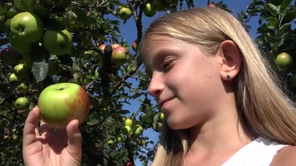 Kind Isst Apfel Kind Obstgarten Bäuerin Studiert Früchte Baum — Stockvideo