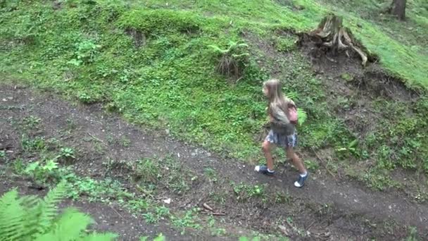 Kind Wandelen Bos Kid Wandelen Bergen Meisje Spelen Camping Avontuur — Stockvideo