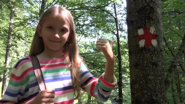 Bambini Che Camminano Nella Foresta Bambini Che Camminano Sulle Montagne — Video Stock