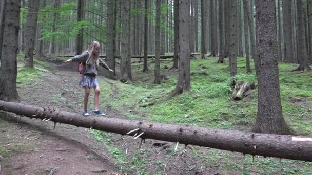 Niño Bosque Caminando Árbol Registro Niño Jugando Camping Aventura Chica — Vídeo de stock