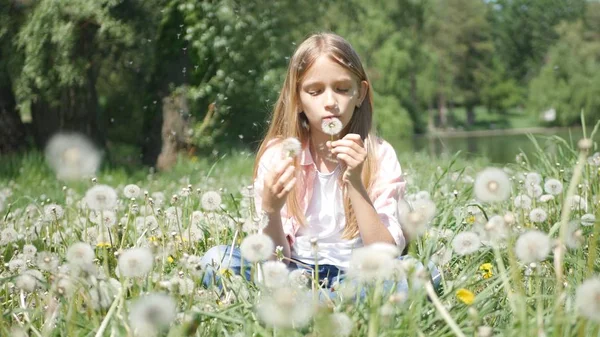 Dziecko Grając Parku Dziecko Dmuchanie Mniszek Kwiaty Łące Dziewczyna Przyrodzie — Zdjęcie stockowe