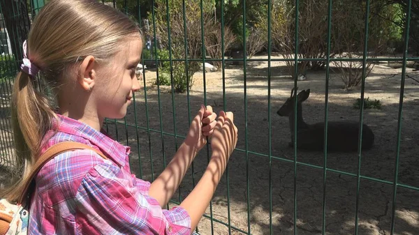 Enfant Dans Parc Zoologique Fille Regardant Cerf Enfants Aiment Allaiter — Photo