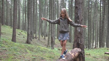Ormandaki ağaç günlük yürüyüş çocuk evlat oynarken kamp macera kız açık ahşap