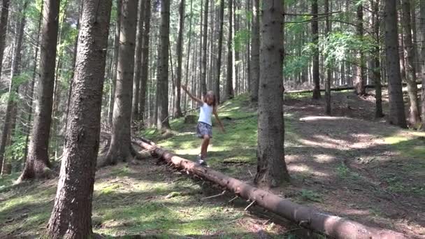 Gyermek erdő gyaloglás fa napló gyerek játszik Camping kaland lány kültéri fa — Stock videók