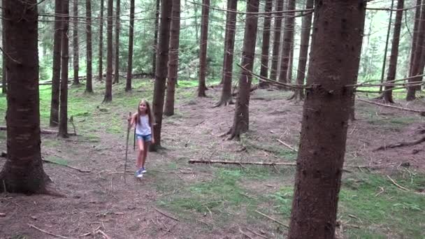 Child Walking in Forest, Kid Outdoor Nature, Girl Playing in Camping Adventure — Stock Video