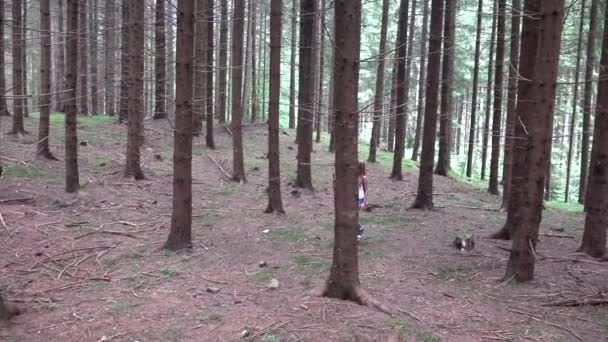 Το περπάτημα στο δάσος, το παιδί παιδί εξωτερική φύση, κορίτσι παίζει στην περιπέτεια κάμπινγκ — Αρχείο Βίντεο