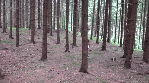 Caminhada da criança na floresta, Kid Outdoor Natureza, Meninas jogando em Aventura Camping — Vídeo de Stock