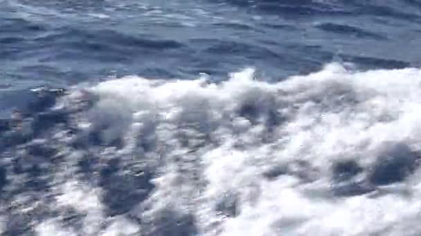 クルーズ フェリー セーリング海旅行船航跡 泡立つ波のビーチへの旅行 — ストック動画
