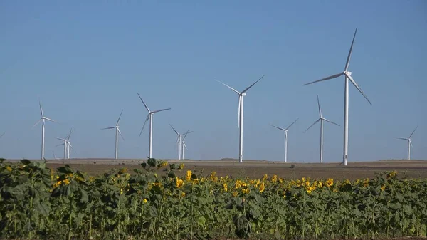 Ветряные мельницы, ветряные турбины, сельское хозяйство Пшеничное поле генератора мощности, электричество — стоковое фото