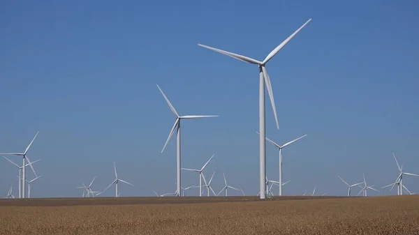 Windmills, Wind Turbines, Agriculture Wheat Field Generator Power, Electricity — Stock Photo, Image