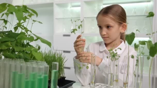 Dziecko w laboratorium chemiczne, szkoły nauki uprawy sadzonek rośliny biologii Klasa — Wideo stockowe