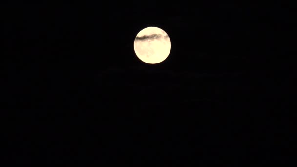 Mond steigt Wolken Nachthimmel halloween gelb Mondschein Blick Herbst Abend — Stockvideo