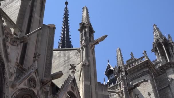 Katedrála v Notre Dame Paříž, návštěvní Návštěvníci kostela, centrum cestovního ruchu — Stock video