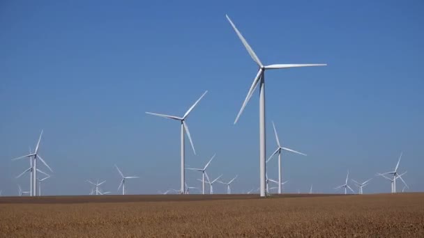 Windmills, Wind Turbines, Timelapse Generator Power, Electricity Time Lapse — Stock Video