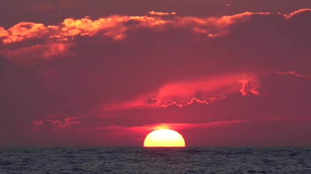 日落海滩 日出在海岸 海洋在日落在夏天 暮光海景 — 图库视频影像