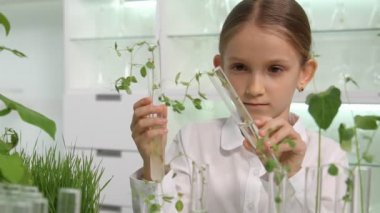 Çocuk kimya laboratuarında, fide büyüyen okul bilim biyoloji sınıf bitkiler