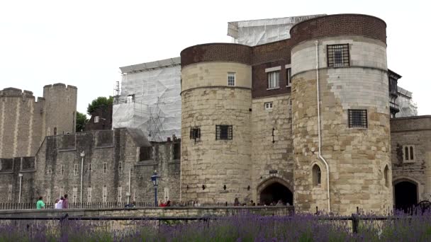 London Tower Castle, Festung, Touristen besuchen britische Sehenswürdigkeiten — Stockvideo