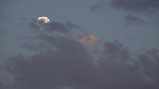 Fullmåne stiger i moln Crepuskulär himmel, skymning ljus utsikt, kvälls bakgrund — Stockvideo