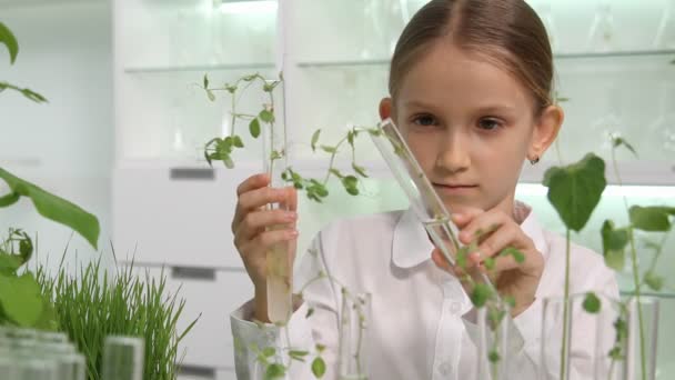 Dziecko w laboratorium chemiczne, szkoły nauki uprawy sadzonek rośliny biologii Klasa — Wideo stockowe